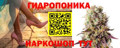 ГАЛЛЮЦИНОГЕННЫЕ ГРИБЫ Балаково