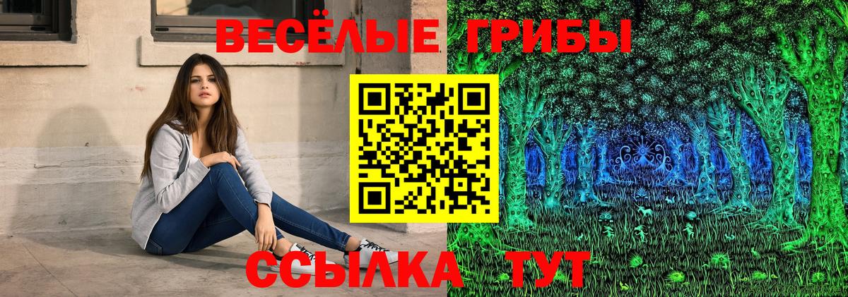 Галлюциногенные грибы Psilocybine cubensis Жигулёвск