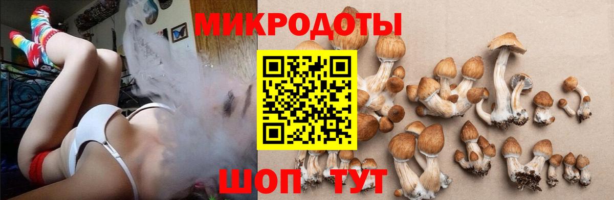Псилоцибиновые грибы мухоморы  Галлюциногенные грибы MAGIC MUSHROOMS  Вход с VPN  Жигулёвск 